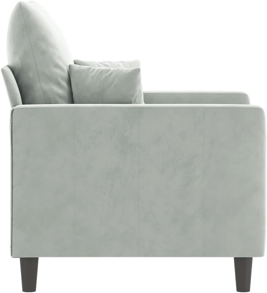 elegant armchair, light grey, 60cm seat width, velvet cover, metal frame, modern, comfortable single sofa lounge chair for living room, load capacity up to 110kg